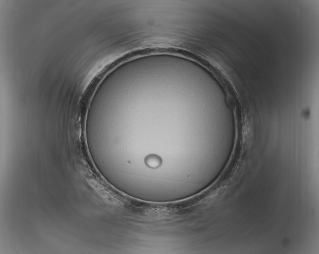 X0000115560973200911271453