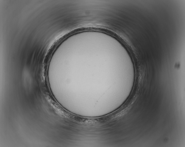 X0000115560974200911271453