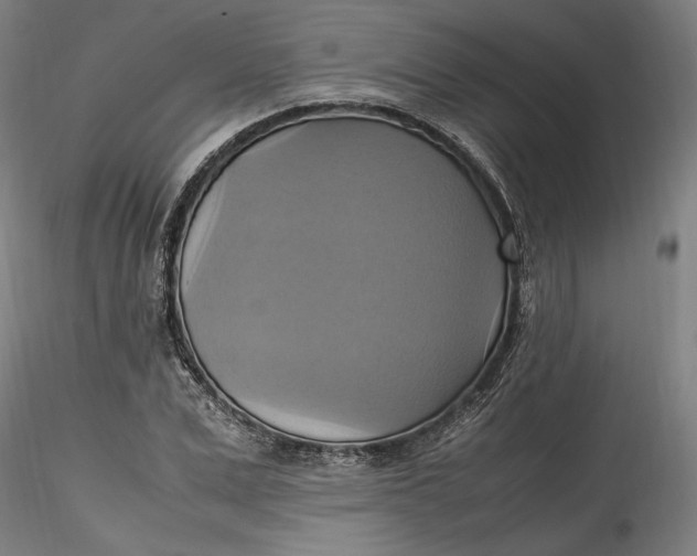 X0000115560975200911271453