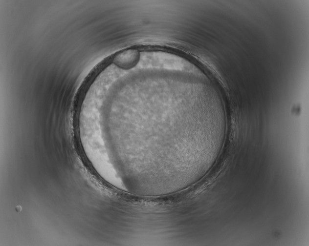 X0000115560976200911271453