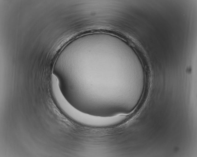 X0000115560977200911271453