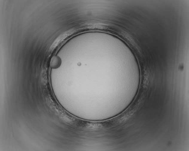 X0000115560978200911271453