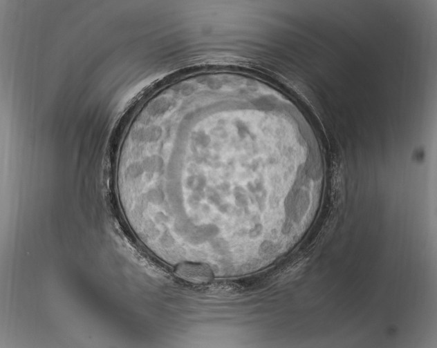 X0000115560979200911271453