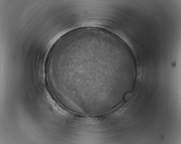 X0000115560980200911271453