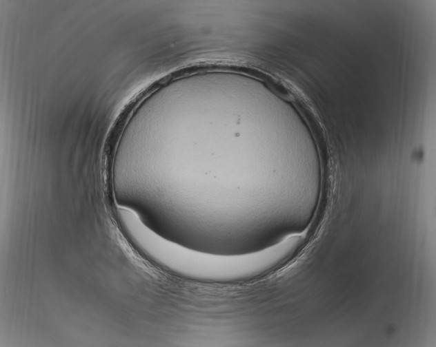 X0000115560981200911271453