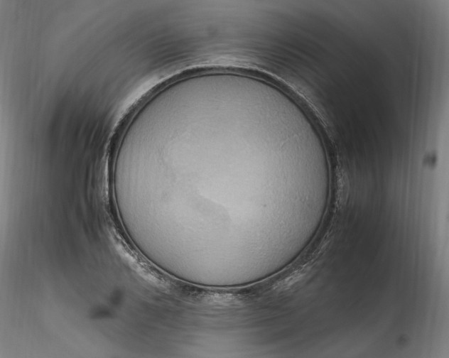 X0000115560982200911271453