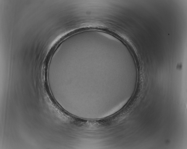 X0000115560983200911271453