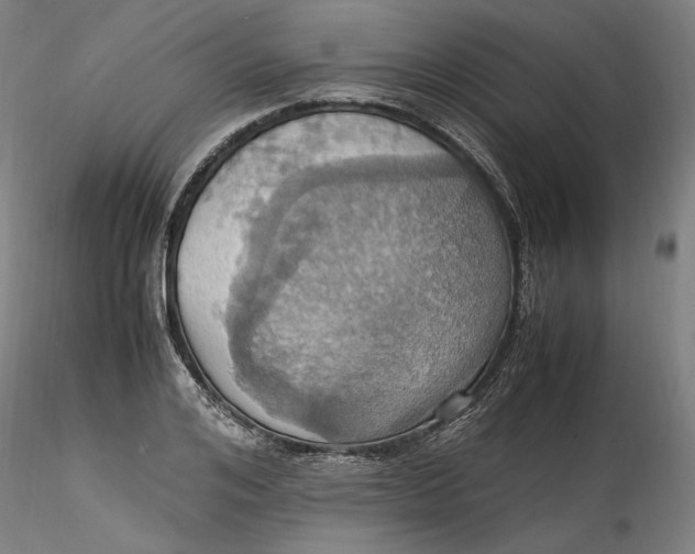 X0000115560984200911271453