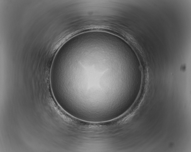 X0000115560985200911271453