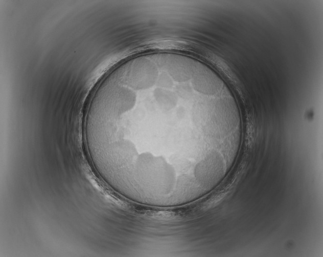 X0000115560986200911271453