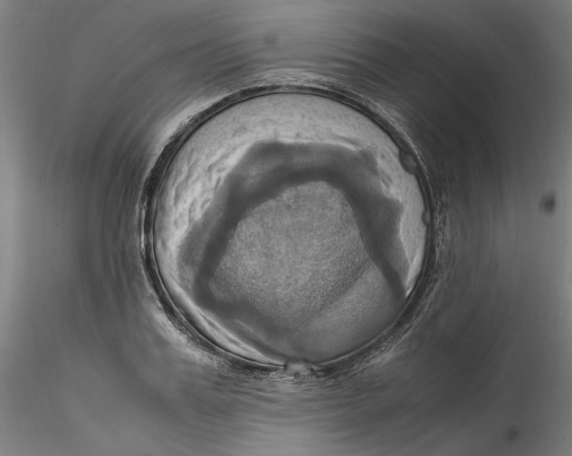 X0000115560987200911271453