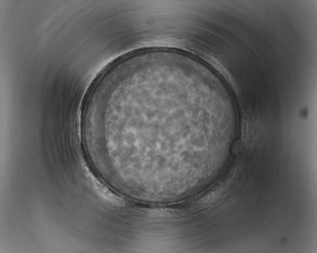 X0000115560988200911271453