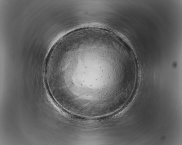 X0000115560989200911271453