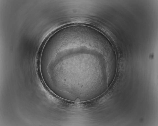 X0000115560991200911271453