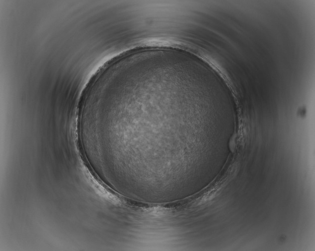 X0000115560992200911271453