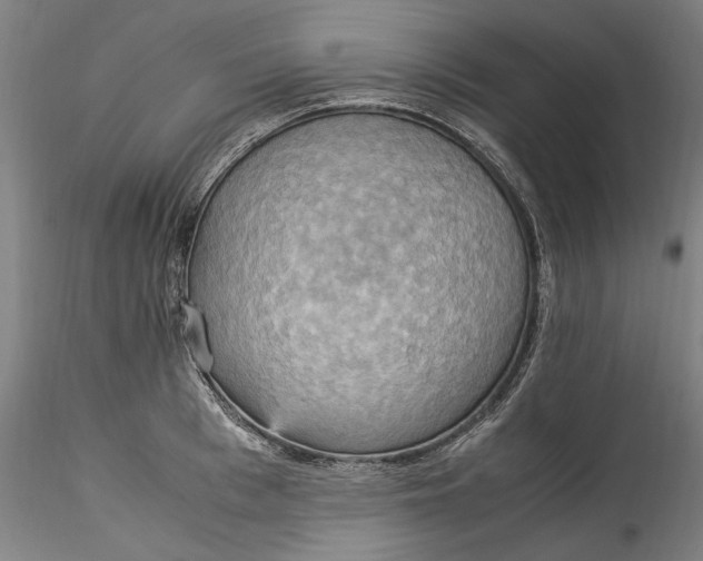 X0000115560993200911271453