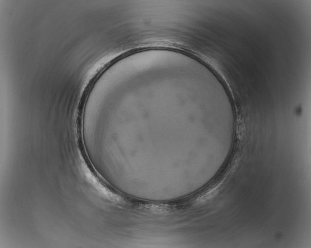 X0000115560995200911271453