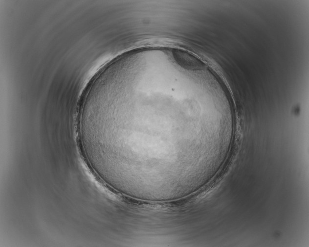 X0000115560997200911271453