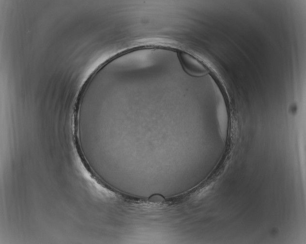 X0000115560999200911271453