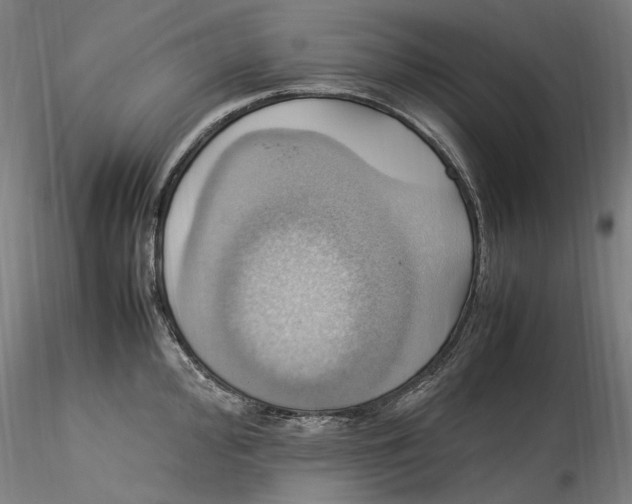 X0000115561000200911271453