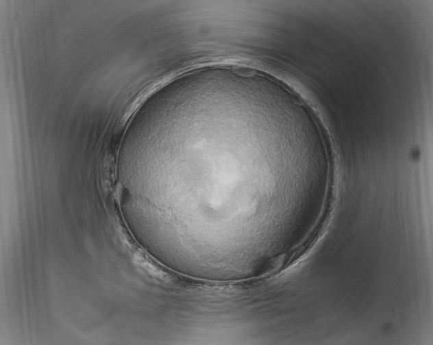 X0000115561001200911271453