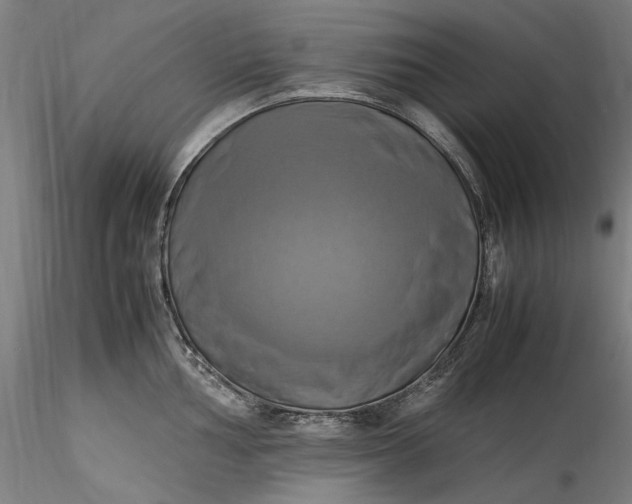 X0000115561002200911271453