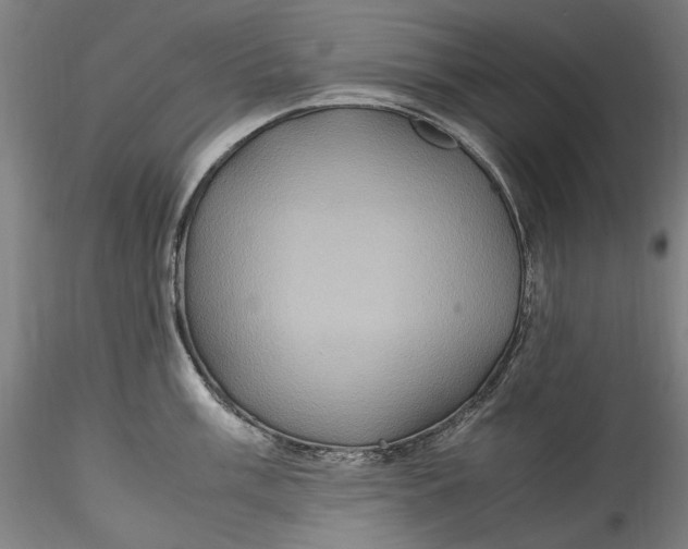 X0000115561003200911271453