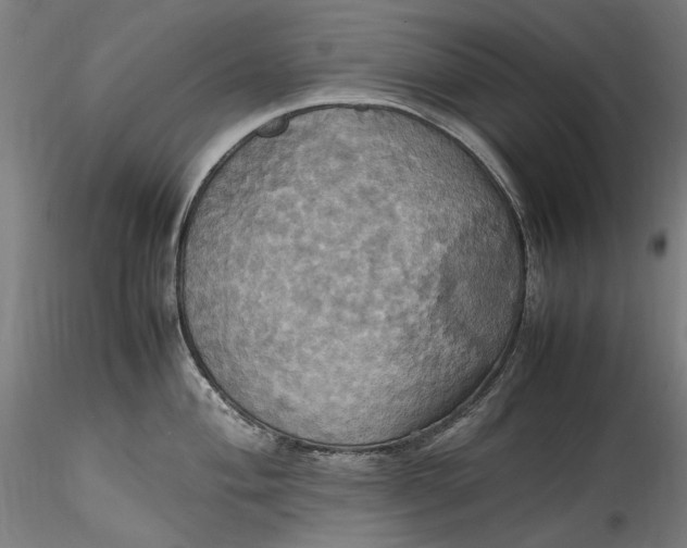 X0000115561004200911271453