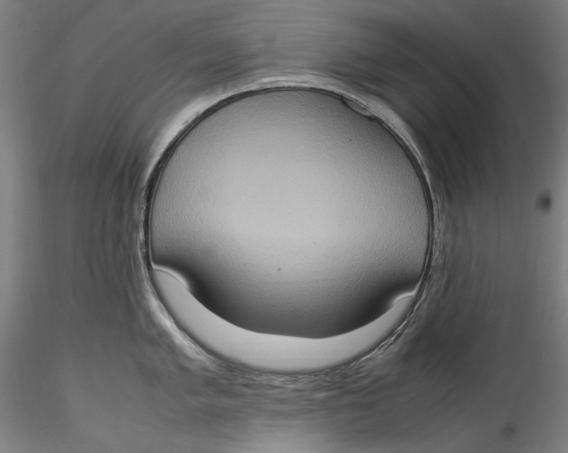 X0000115561005200911271453