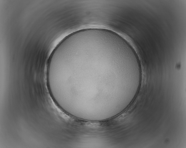 X0000115561006200911271453