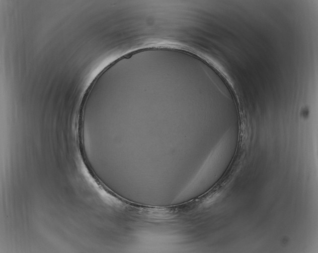 X0000115561007200911271453