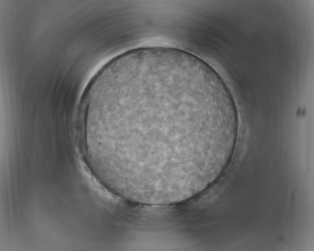 X0000115561008200911271453