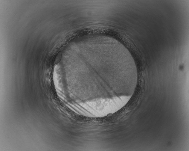 X0000115561010200911271452