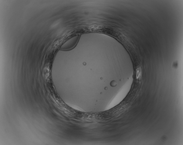 X0000115561011200911271452