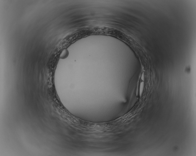 X0000115561013200911271452