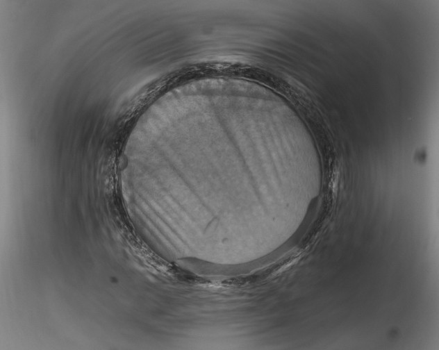 X0000115561014200911271452