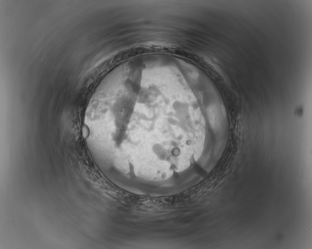 X0000115561015200911271452