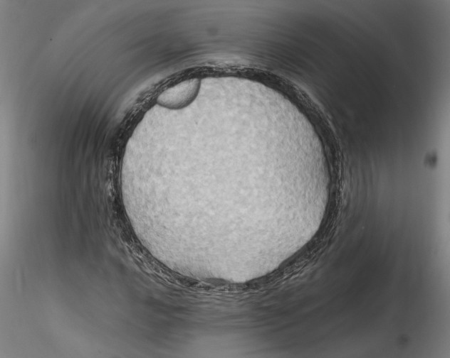 X0000115561016200911271452