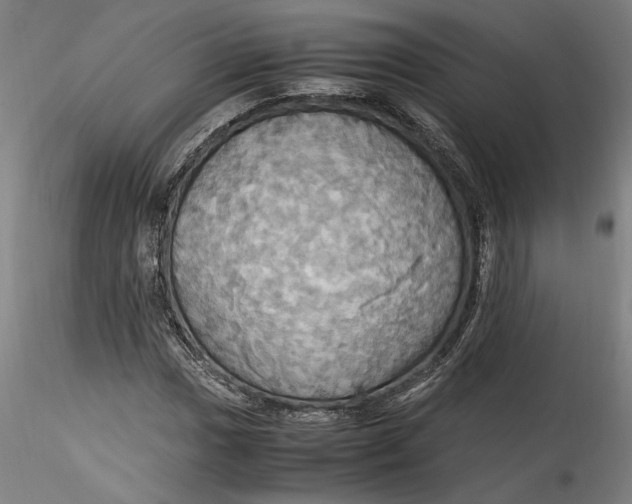 X0000115561017200911271452