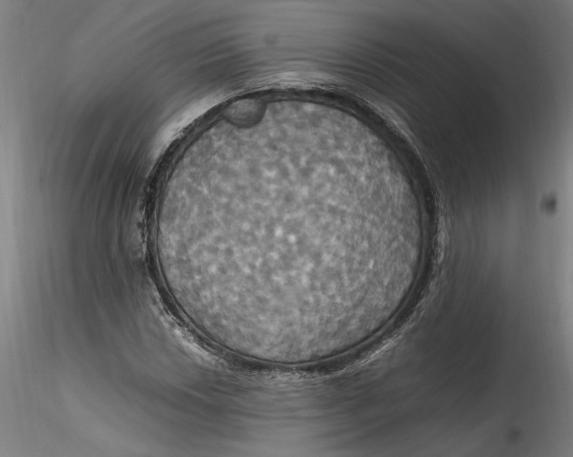 X0000115561018200911271452