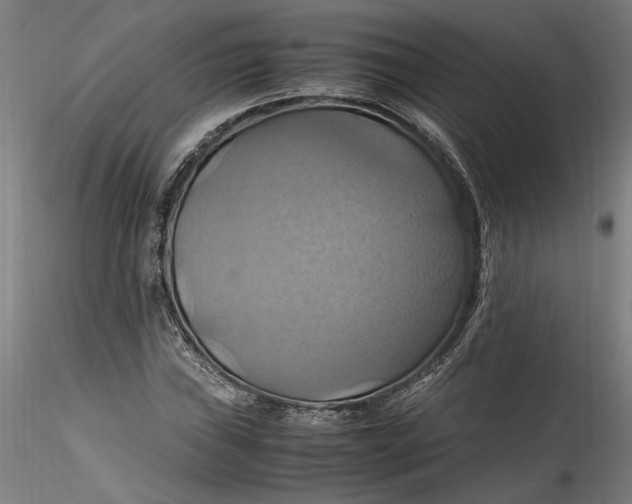 X0000115561019200911271452