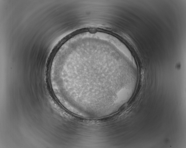 X0000115561020200911271452