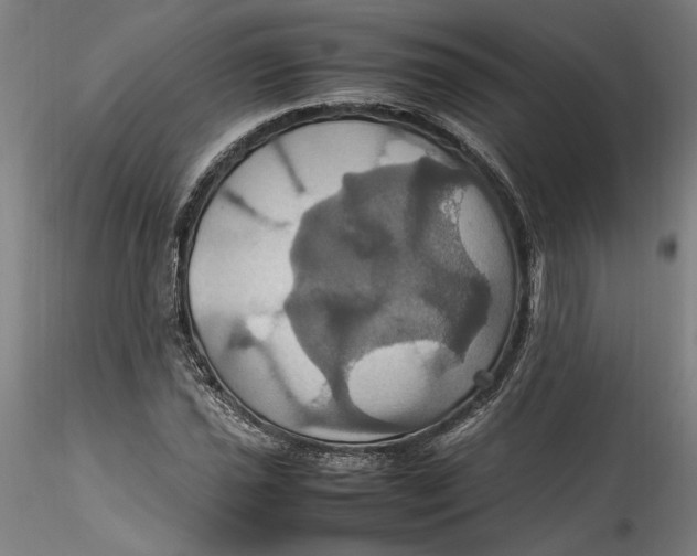 X0000115561021200911271452