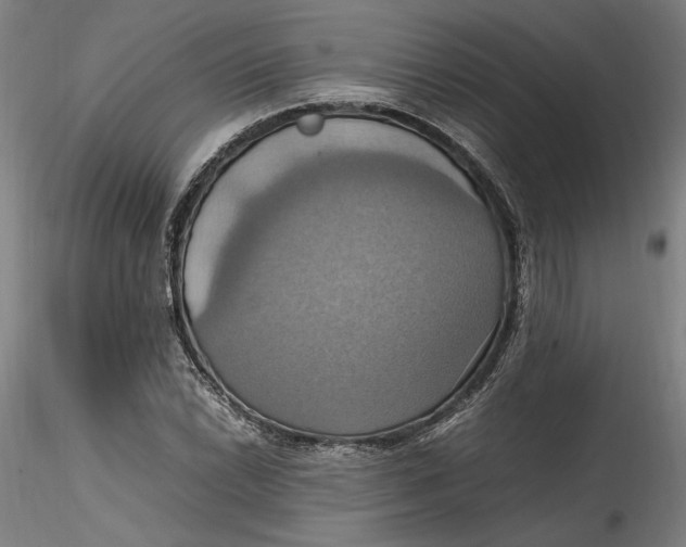 X0000115561022200911271452