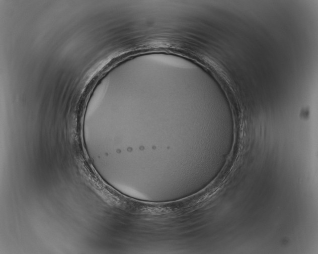 X0000115561023200911271452