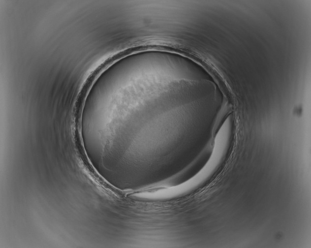 X0000115561024200911271452