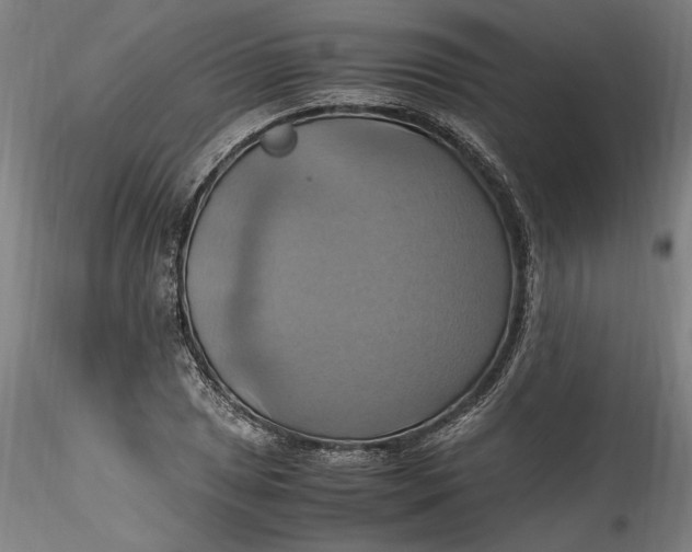 X0000115561025200911271452