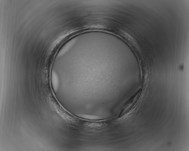 X0000115561027200911271452