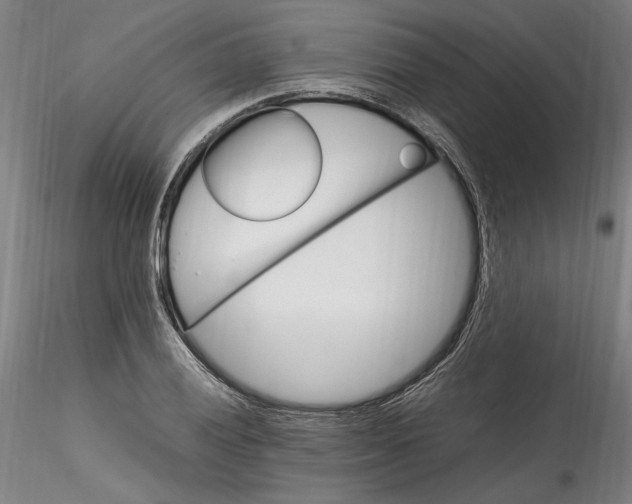 X0000115561028200911271452