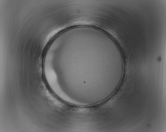 X0000115561030200911271452